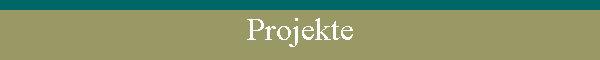 Projekte