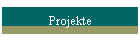 Projekte