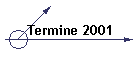 Termine 2001